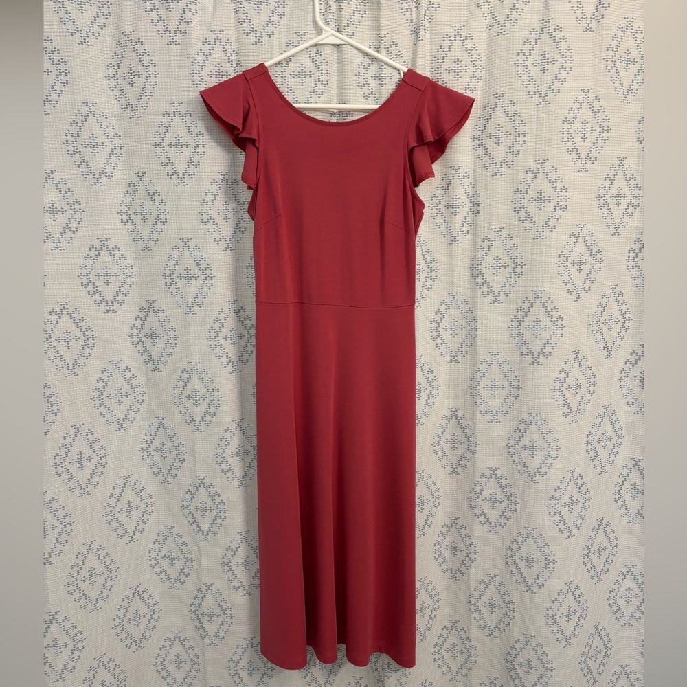 EUC - Adorable Gap Ruffle Sleeve Dress
